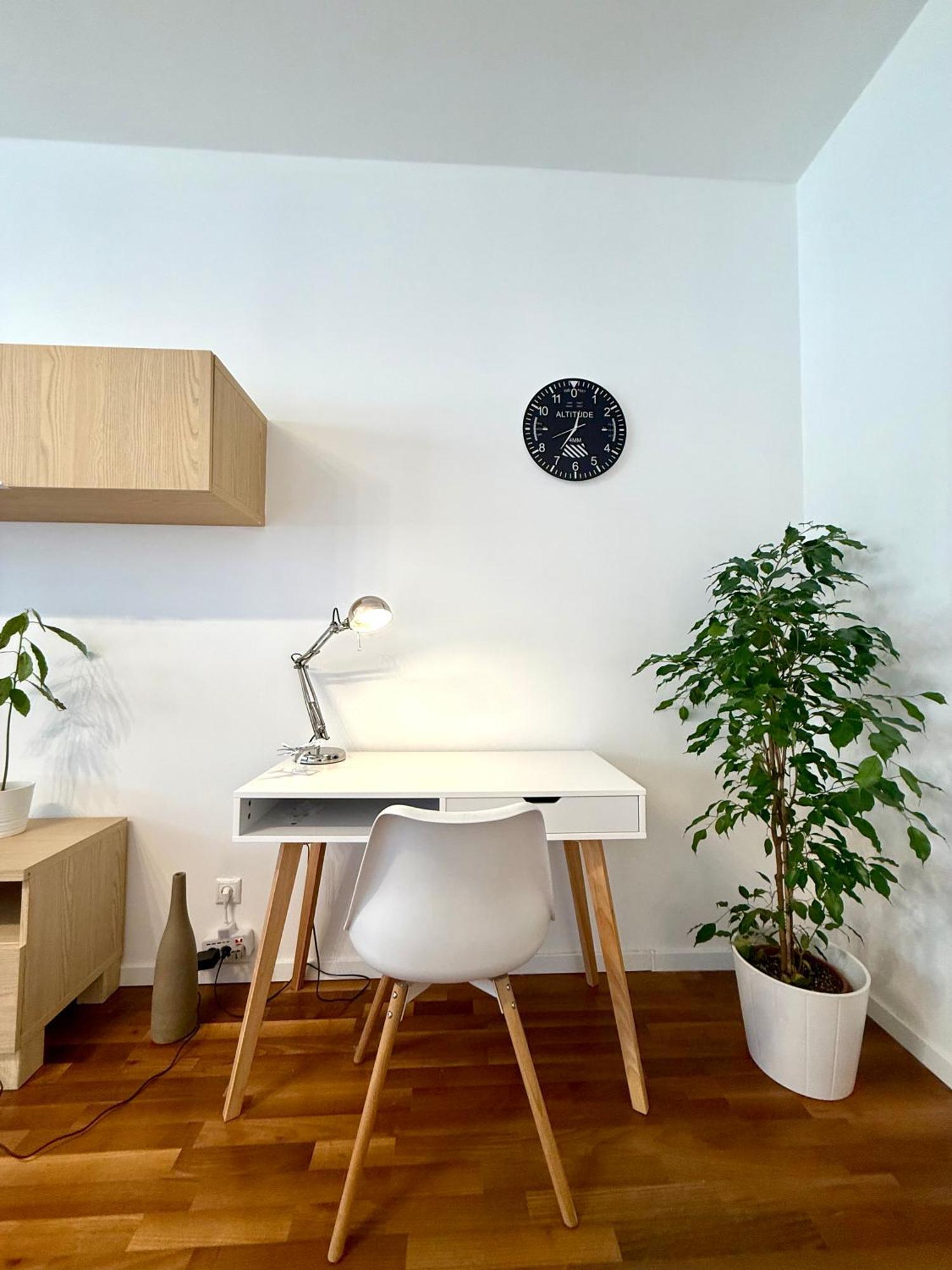 Apartament Downtown Pilot *